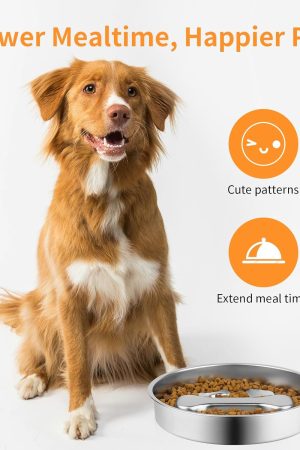 Slow Feeder Dog Bowl