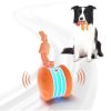 Interactive Dog Ball