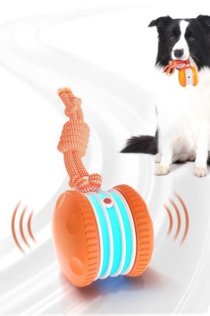Interactive Dog Ball