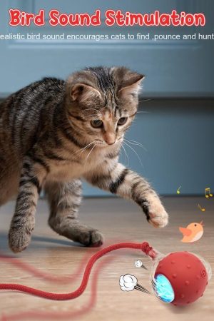 Interactive USB Rechargeable Ball Toy on Rug