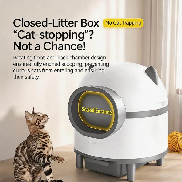 Open automatic cat litter box